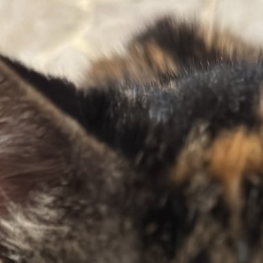 ESTER B. - Freelance Animator