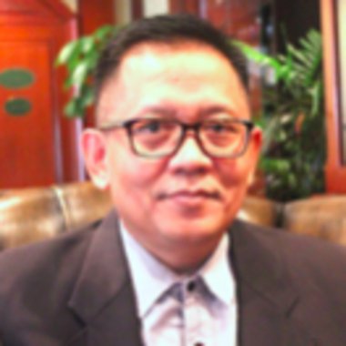 Soegeng P. - Freelance Ai Strategy Consultant
