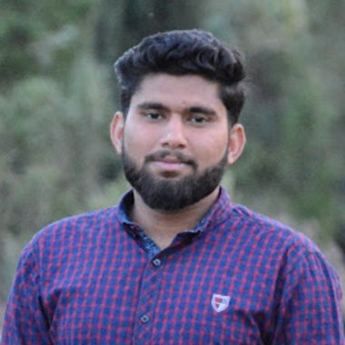 Hammad T. - Freelance Web Developer