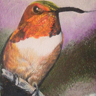 Christina F. - Freelance Illustrator