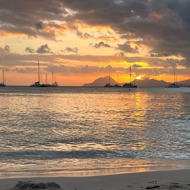 Delphine G. - Freelance Web Designer