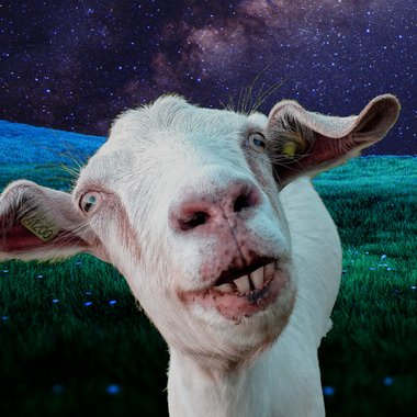 BitBrush - Freelance 2d Animator