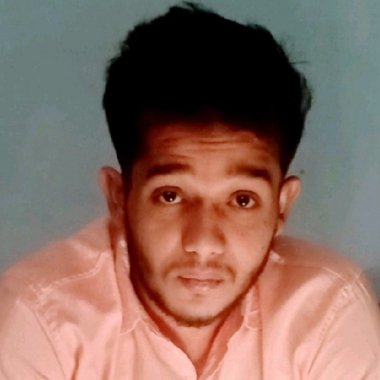 tushar j. - Freelance Developer