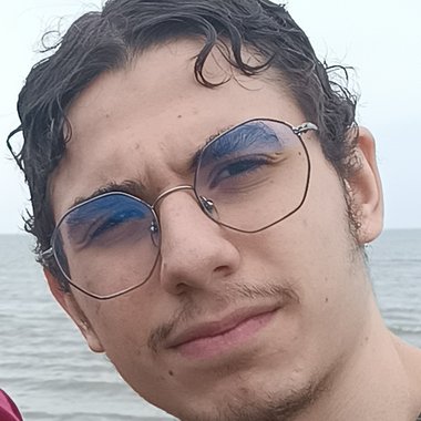 Hossein R. - Freelance Programmer
