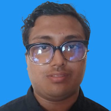 Nirmallya B. - Freelance Developer