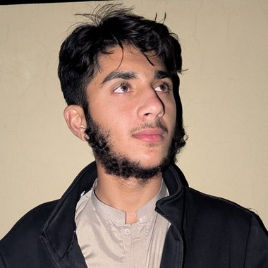 Talha N. - Freelance Digital Marketer