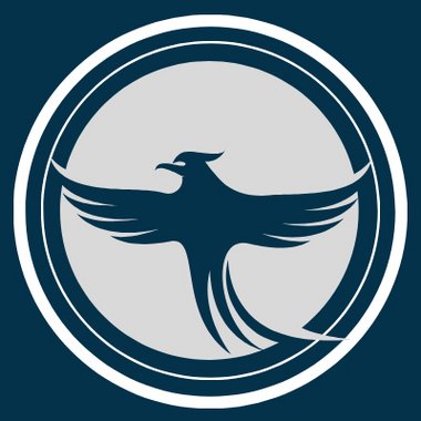 SKILLED F. - Freelance Data Visualizer