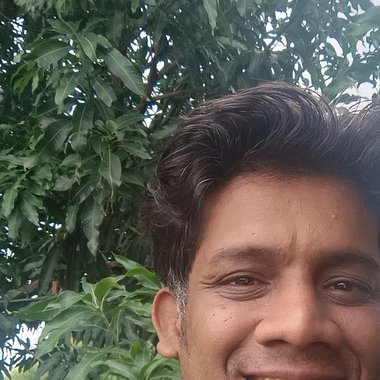 Avinash N. - Freelance Seo Expert