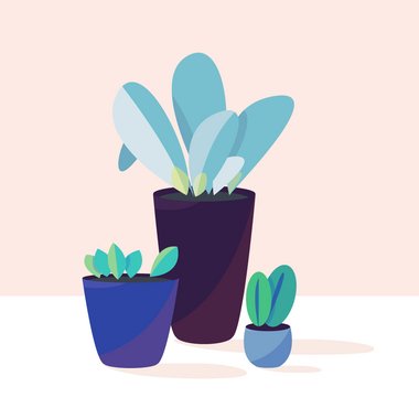 Ffion N. - Freelance Animator