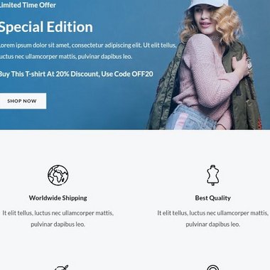 Swarup11 - Freelance Web Designer