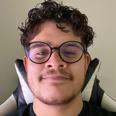 Alisson R. - Freelance Programmer