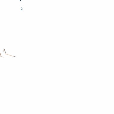 Hamiiziii - Freelance Web Developer