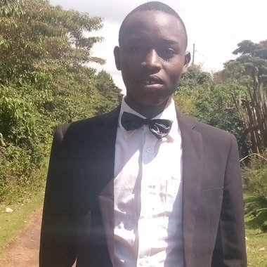 Dennis M. - Freelance Programmer