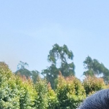 Sara S. - Freelance Content Creator