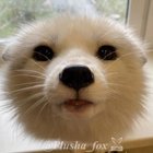 Harper Maverick Gamboa