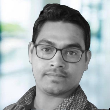 Arijit H. - Freelance Developer