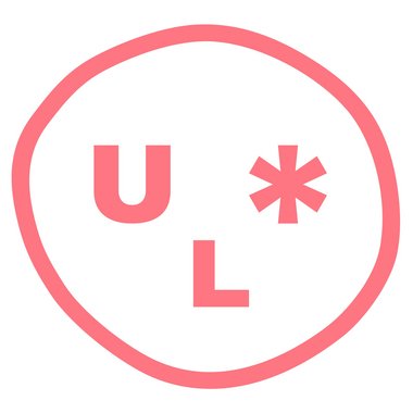 Sharukh B. - Freelance Programmer