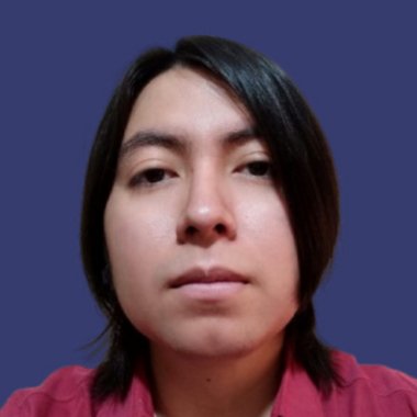 Paulo O. - Freelance Developer