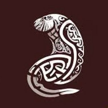 Blathnaid O. - Freelance Director Of Photography