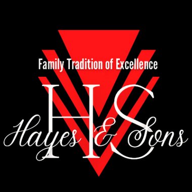 Hayes C. - Freelance Artist