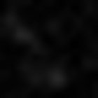 Delmond Taylor Bangs