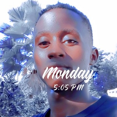 Eric - Freelance Data Annotator