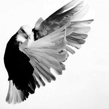 Maalik O. - Freelance Copywriter