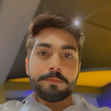 Aamir Z. - Freelance Web Designer