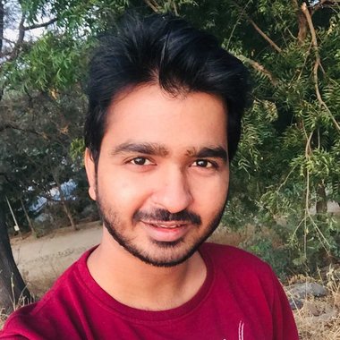 PARAG C. - Freelance Game Tester