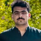 Syed Faras ali Naqvi