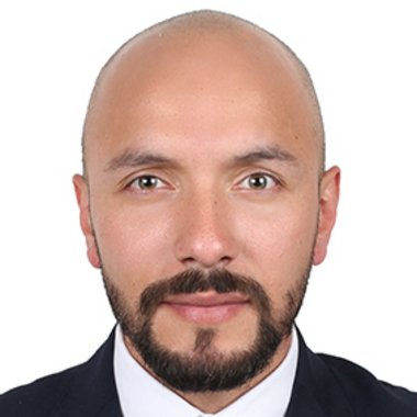 Larry A. - Freelance Ai Strategy Consultant