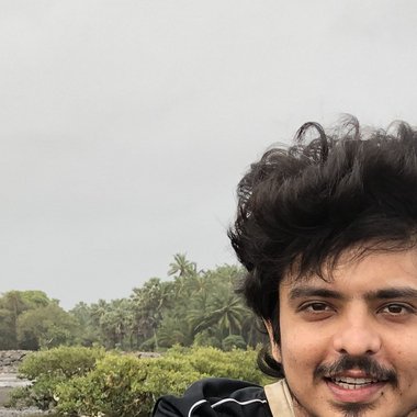 Mihir T. - Freelance Developer