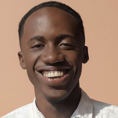 Alcino L. - Freelance Developer