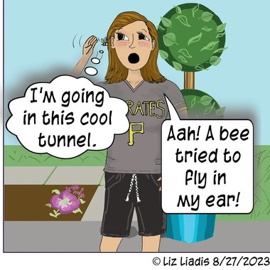 Liz L. - Freelance Graphic Designer