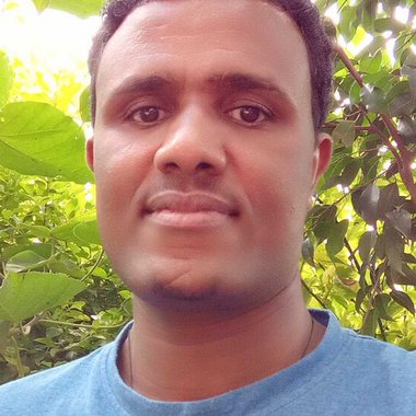 Gosa - Freelance Book Illustrator