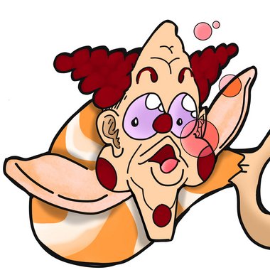 JR V. - Freelance 2d Animator