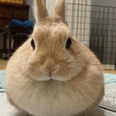 Sofia K. - Freelance Animator