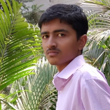 Mitul K. - Freelance Web Developer