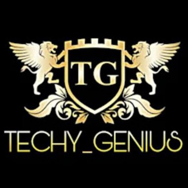 Techygenius - Freelance Digital Marketer