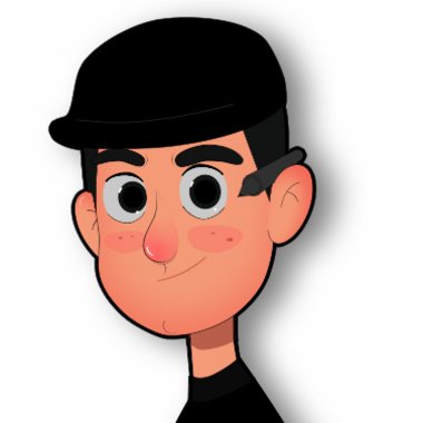 Ali M. - Freelance Character Rigger