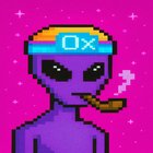 Shreyansh (the0xshrey)