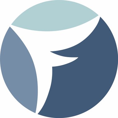Francisco N. - Freelance Brand Designer