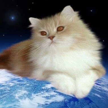 Elvina - Freelance Book Illustrator