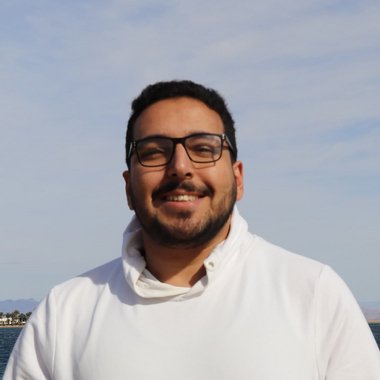 Ahmed A. - Freelance Developer