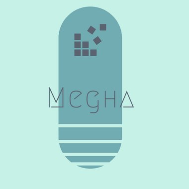 Megha p. - Freelance Photoshop Editor