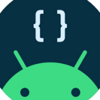 Payal P. - Freelance Developer