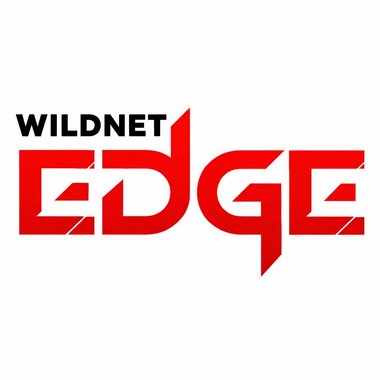 Wildnet E. - Freelance Developer