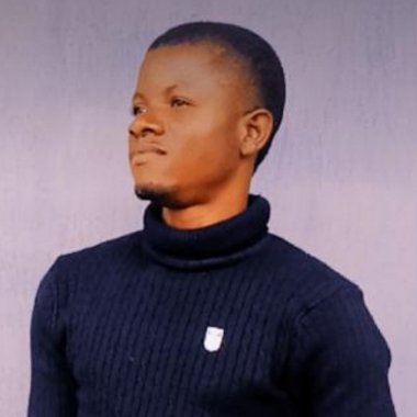 Adepoju A. - Freelance Blockchain Developer