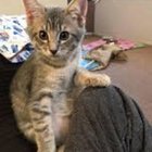 Fariq Ridwan Prasaja