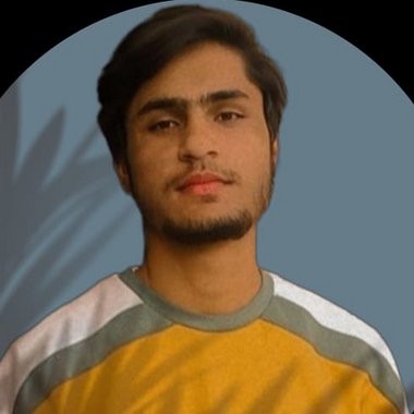 MUHAMMAD T. - Freelance Marketing Analyst